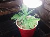 20120908_113508.jpg 20120908_113508.jpg