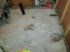 grow room floor.jpg grow room floor.jpg