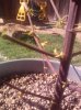 IMG_20120910_152943.jpg
