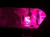 New LED.jpg New LED.jpg