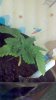 2012-09-10_14-21-02_242.jpg