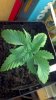 2012-09-10_14-21-17_347.jpg 2012-09-10_14-21-17_347.jpg