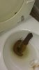 IMAG0978.jpg