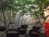 Below canopy.jpg