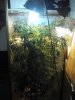 2012-09-11_16-40-44_710.jpg