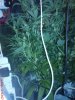 DSC01430.jpg