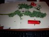 100_7462.jpg