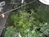 DSC05657.jpg