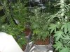 DSC05653.jpg
