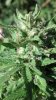 2012-09-15_16-08-29_353.jpg