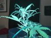 BB day 25 3.jpg