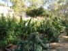 DSC06553.JPG