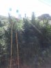 IMG_20120916_092216.jpg