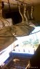 IMAG0339.jpg