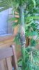 IMAG0441.jpg
