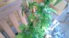 IMAG0442.jpg