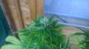 IMAG0444.jpg