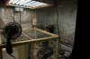 DSC05932.jpg