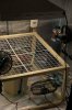 DSC05937.jpg