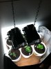 CFL setup-2.jpg