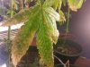 2012-09-18 19.30.58.jpg