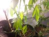 2012-09-18 19.32.46.jpg