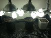 DSCN3805.jpg