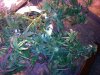20120913_100923.jpg 20120913_100923.jpg