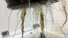 2012-09-19_08-08-01_613.jpg