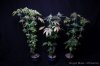 cannabis-oregonblues234-d51-6045.jpg