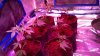 2012-09-19_17-19-46_679.jpg 2012-09-19_17-19-46_679.jpg