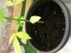 20120920_231725.jpg 20120920_231725.jpg
