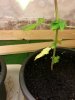 20120920_231729.jpg 20120920_231729.jpg