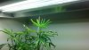 2012-09-20_18-37-25_444.jpg