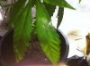 IMG_0391.jpg IMG_0391.jpg