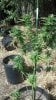 2012-09-21_14-31-22_725.jpg 2012-09-21_14-31-22_725.jpg