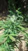 2012-09-21_14-31-28_950.jpg 2012-09-21_14-31-28_950.jpg
