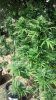2012-09-21_14-32-07_678.jpg 2012-09-21_14-32-07_678.jpg