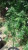 2012-09-21_14-32-28_543.jpg 2012-09-21_14-32-28_543.jpg