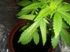 20120922_122751.jpg