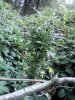 IMG107.jpg