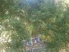 IMG_20120922_142750.jpg