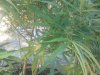 IMG_20120922_142719.jpg