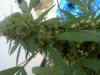 IMG_20120921_182846.jpg