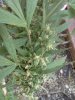 IMG_20120921_183047.jpg