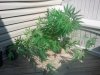 2012-08-22 15.49.35.jpg
