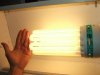 lightbox2.jpg