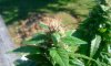 2012-09-24 10.33.54.jpg