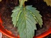 IMG_20120925_230614.jpg