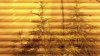 100_0348.jpg